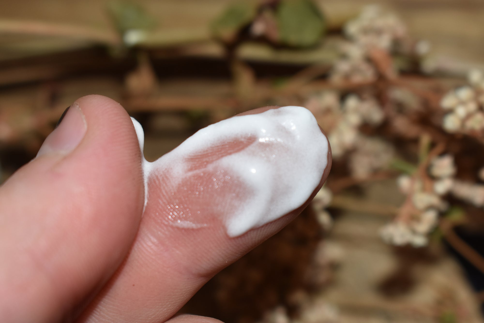 Face Cream